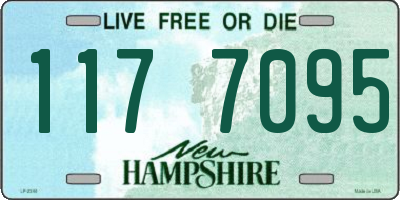 NH license plate 1177095