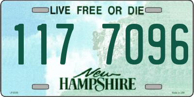 NH license plate 1177096