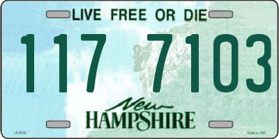 NH license plate 1177103