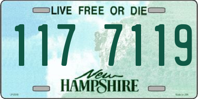 NH license plate 1177119