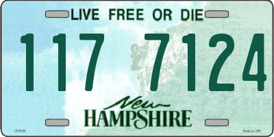 NH license plate 1177124