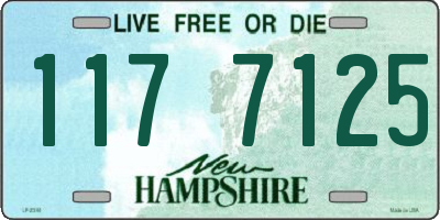 NH license plate 1177125