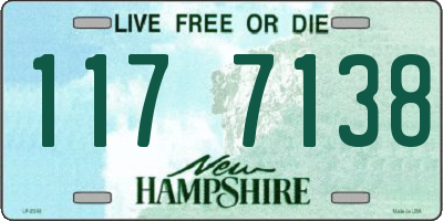 NH license plate 1177138