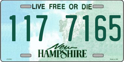 NH license plate 1177165