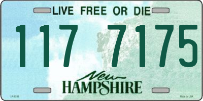 NH license plate 1177175