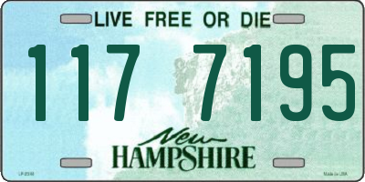 NH license plate 1177195