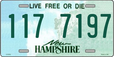 NH license plate 1177197