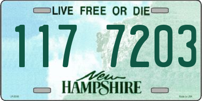 NH license plate 1177203
