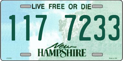 NH license plate 1177233