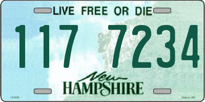 NH license plate 1177234