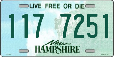 NH license plate 1177251