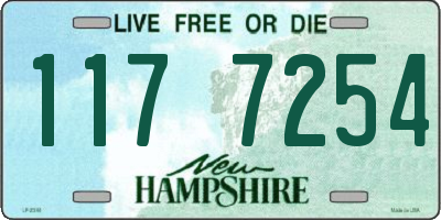 NH license plate 1177254