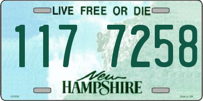 NH license plate 1177258