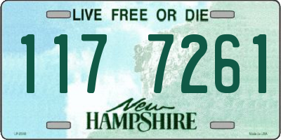 NH license plate 1177261