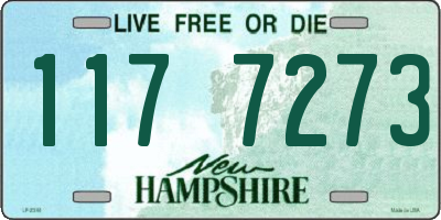 NH license plate 1177273