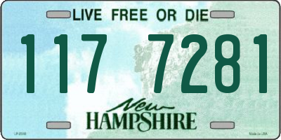 NH license plate 1177281
