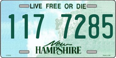 NH license plate 1177285