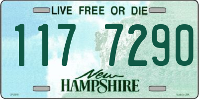 NH license plate 1177290
