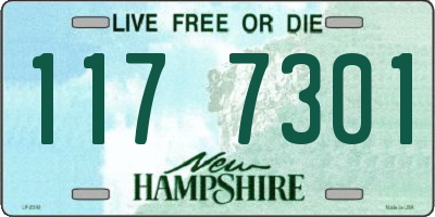 NH license plate 1177301