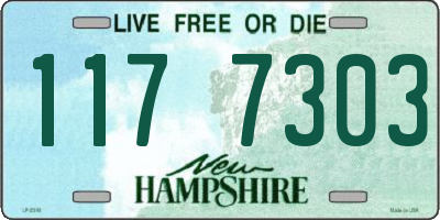 NH license plate 1177303