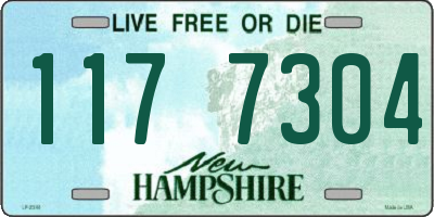 NH license plate 1177304