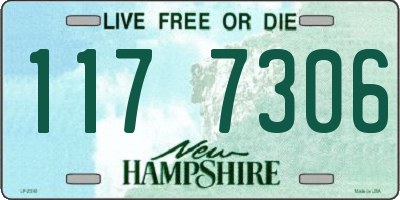 NH license plate 1177306
