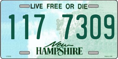 NH license plate 1177309