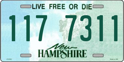 NH license plate 1177311
