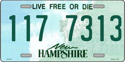 NH license plate 1177313
