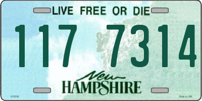 NH license plate 1177314