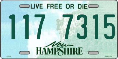 NH license plate 1177315