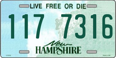 NH license plate 1177316