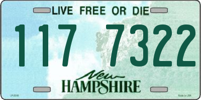 NH license plate 1177322