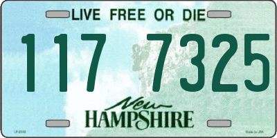 NH license plate 1177325