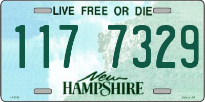 NH license plate 1177329