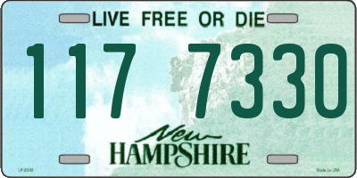 NH license plate 1177330