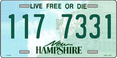 NH license plate 1177331