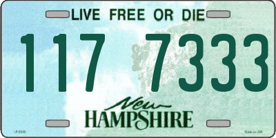 NH license plate 1177333