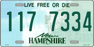 NH license plate 1177334