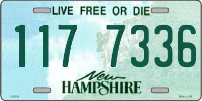 NH license plate 1177336