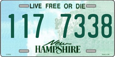 NH license plate 1177338