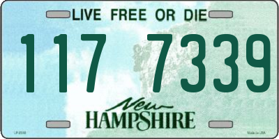NH license plate 1177339