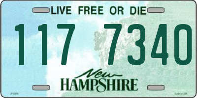 NH license plate 1177340