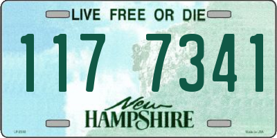 NH license plate 1177341