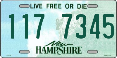 NH license plate 1177345