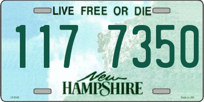 NH license plate 1177350