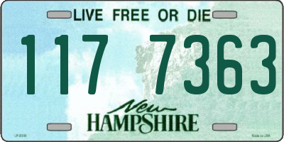 NH license plate 1177363