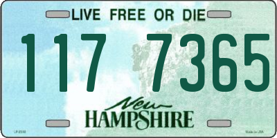 NH license plate 1177365