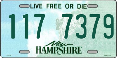 NH license plate 1177379