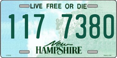 NH license plate 1177380